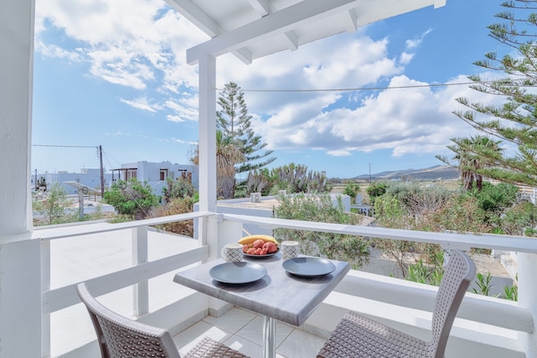 Basic Double or Twin Room | Terrace/patio