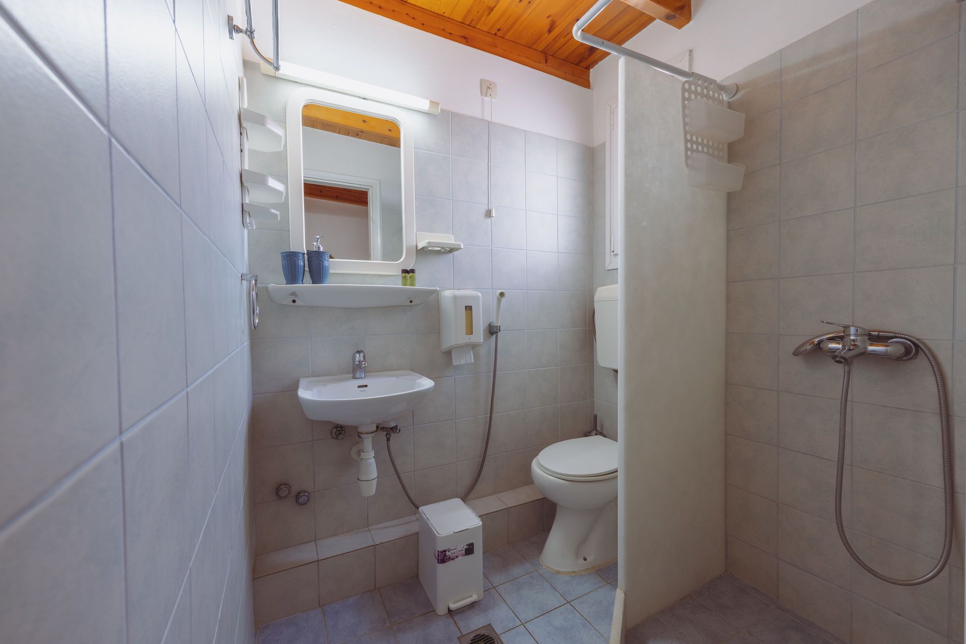 Une petite salle de bain avec des toilettes, un lavabo et une douche.