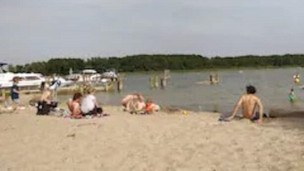 Uma praia com pessoas se banhando ao sol e nadando. Há barcos na água e uma floresta ao fundo.