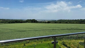 Vista de un campo verde con una baranda metálica al frente.