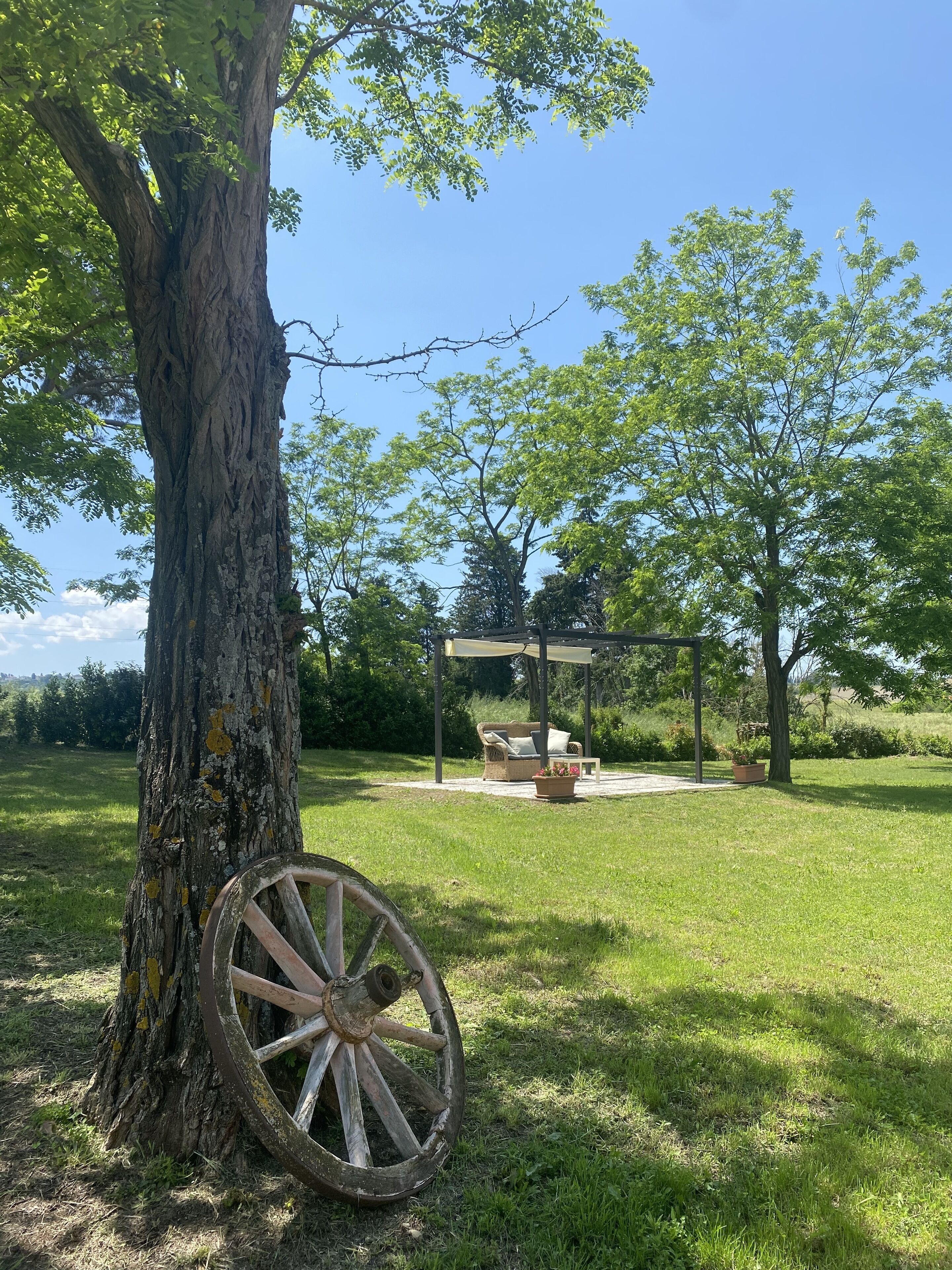 A tree with a wooden cart, a covered seating area, and a grassy field.