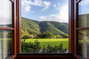 Vue sur les montagnes