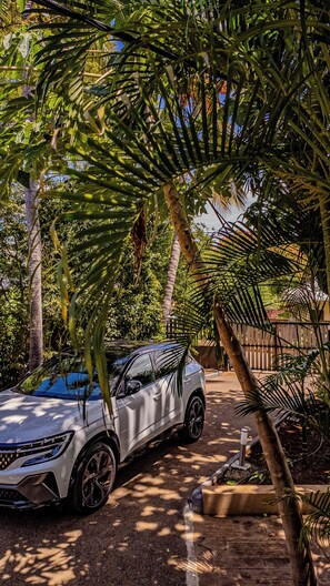 Overnattingsstedets uteområder