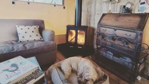 Un salon chaleureux avec un canapé, un panier pour chien, une cheminée et une lampe.