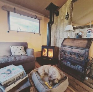 Foosball, table tennis, books, stereo