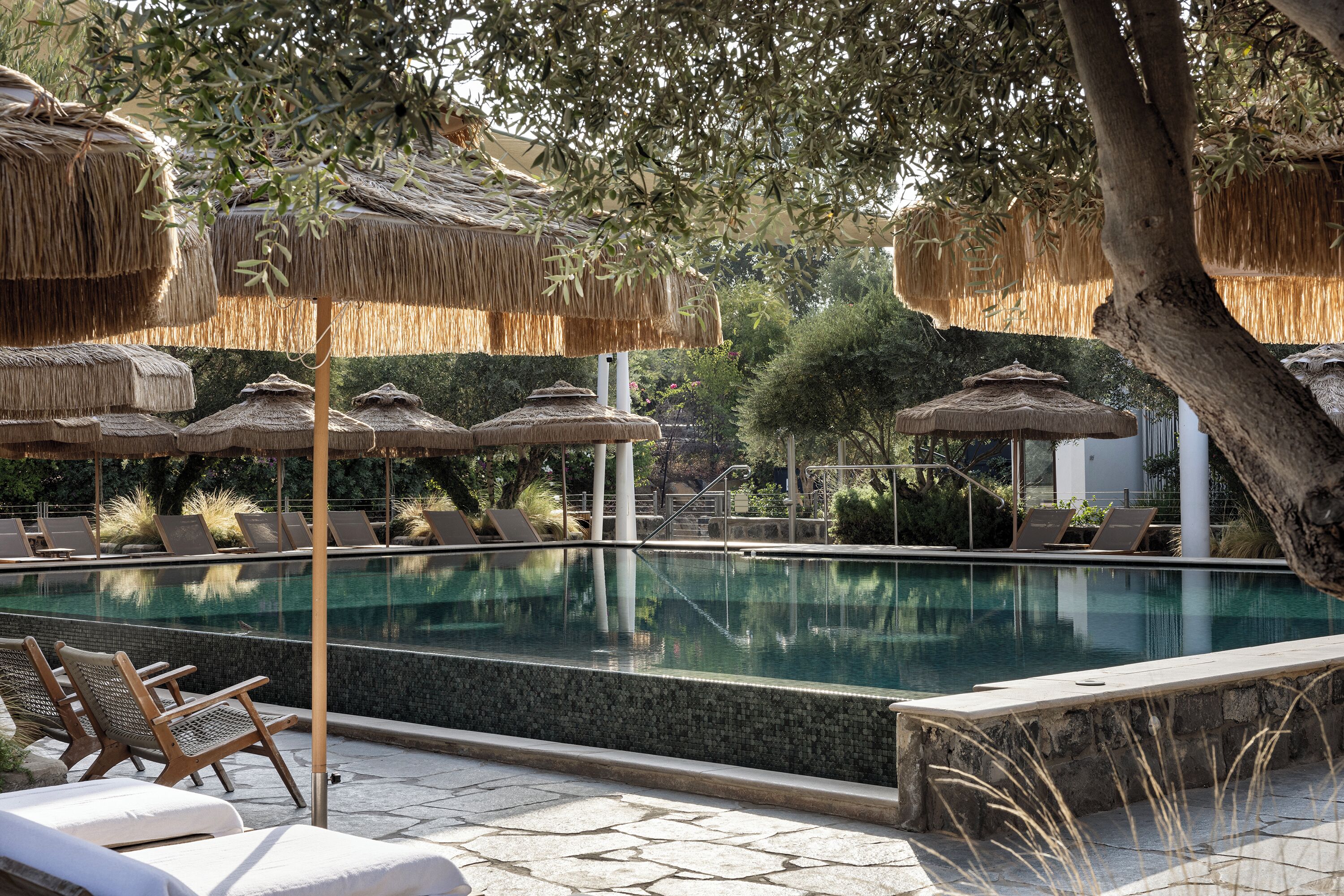 Outdoor pool, pool umbrellas, pool loungers