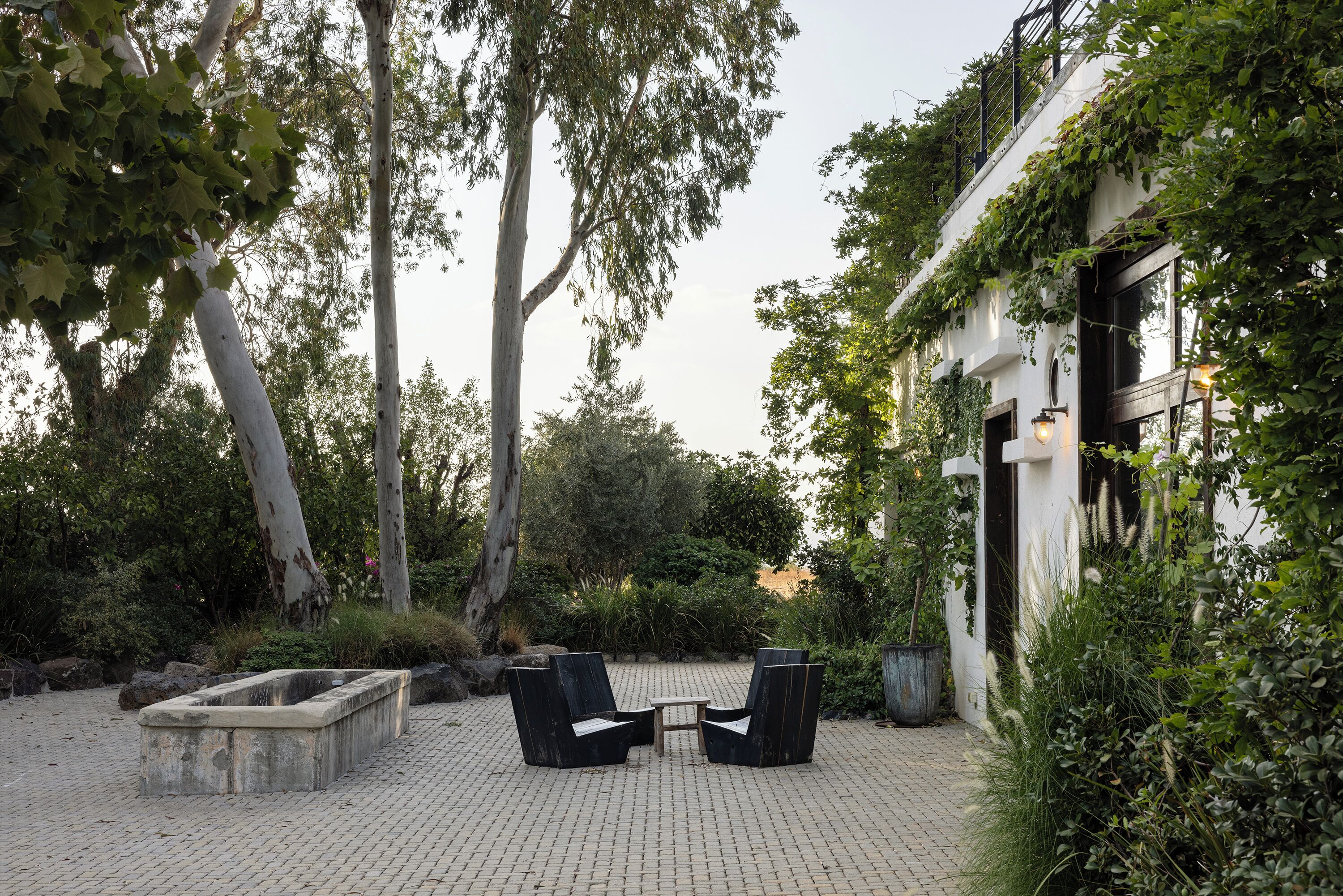 Un espacio al aire libre con dos sillas y una mesa, rodeado de vegetación y árboles.