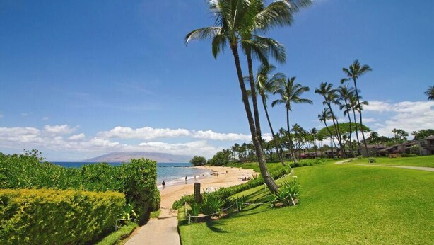 A pathway leading to a beach with palm trees and a clear view of the ocean.