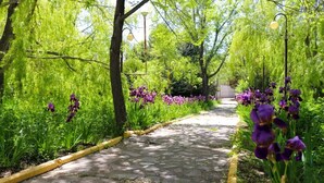 Um caminho de pedra ladeado por vegetação exuberante e flores roxas, serpenteando por um jardim.