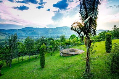 THE CRESTED CRANE BWINDI HOTEL