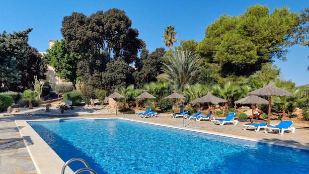 A swimming pool with lounge chairs and umbrellas, surrounded by trees and a stone pathway. - Cosy, luxury 2-bed golf villa (La Manga Club) (Cartagena)