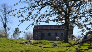 Une cabane en bois rustique, dotée d’un toit en pente, entourée d’une zone herbeuse et d’arbres.