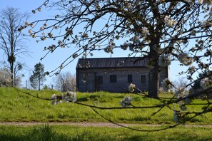Property grounds - 🦊 Cabane du Renard (Le Controis-en-Sologne)