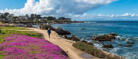 Serviettes de plage