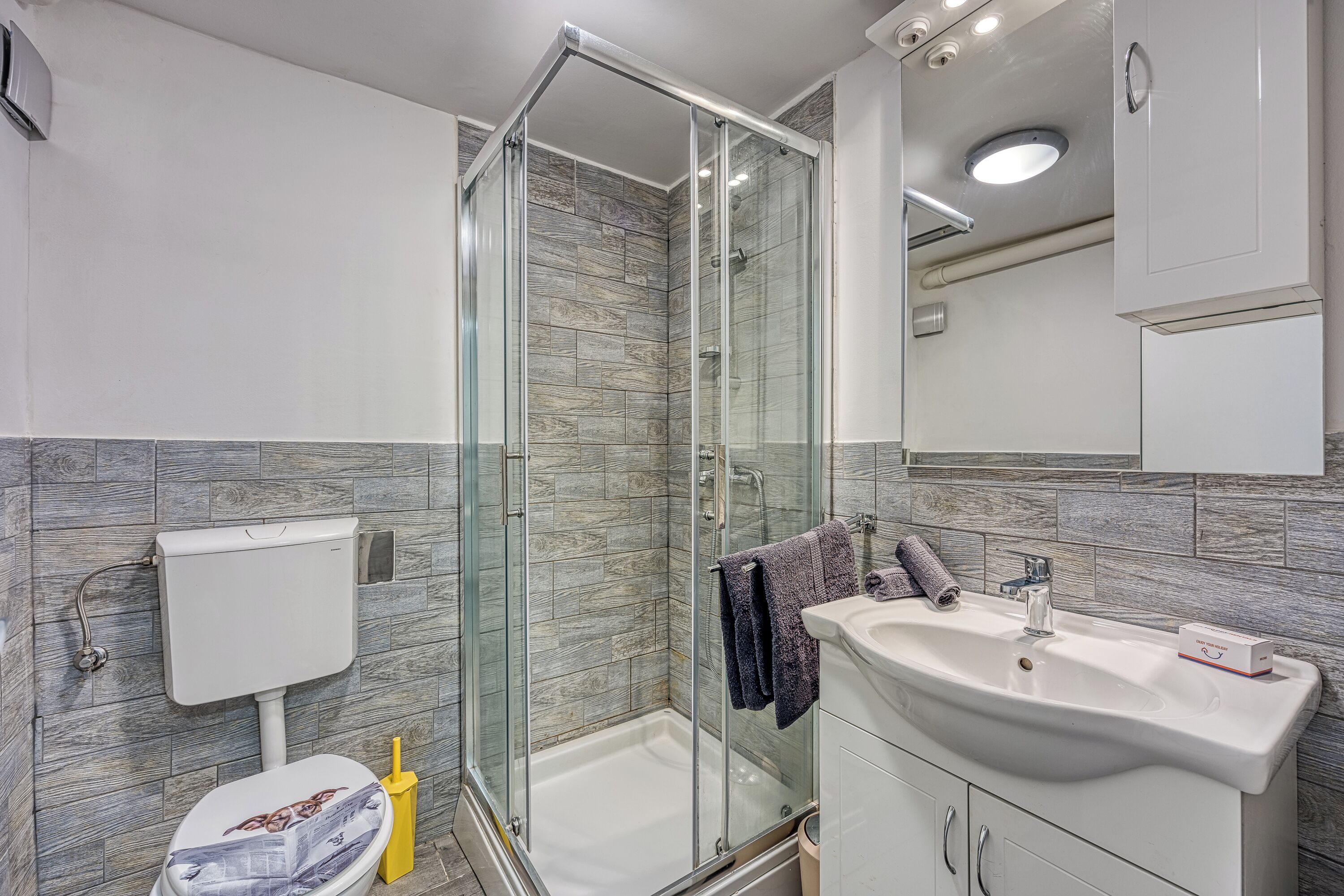 Ducha, secador de pelo, toallas, jabón