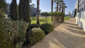 A landscaped area with palm trees, a grassy lawn, and a paved walkway.