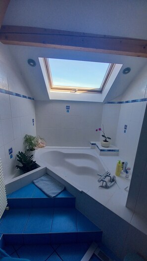 Regadera, secadora de cabello, toallas, jabón 