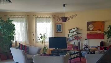 Smart-TV, Kamin, Tischtennisplatte, Bücher