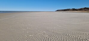 بالقرب من الشاطئ