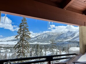 Property grounds - Deluxe Home, Great Views! Private Gas Grill & Washer/Dryer, Near Lakes Basin (Mammoth Lakes)