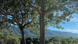 A table with two wine glasses and a bouquet of lavender, set against a scenic view of mountains and trees. - Lavender, Luberon view, pool, air-conditioning : Villa Mas des Lavandes 2 BR. 4* (Céreste)