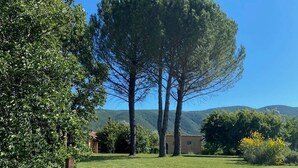 A rural landscape with a gravel path, lavender fields, and a large tree in the background. - Lavender, Luberon view, swimming pool, AC : Villa Mas du Luberon 15 km from Apt (Céreste)