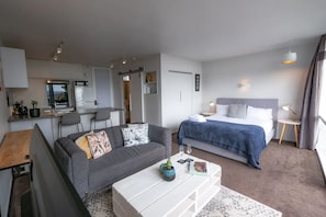 Basic Studio, 1 Queen Bed