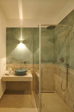 Hair dryer, soap, shampoo, toilet paper