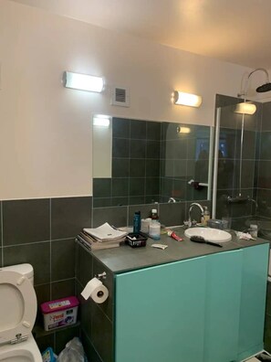 Basic Apartment, Multiple Beds | Bathroom | Towels, soap, shampoo, toilet paper