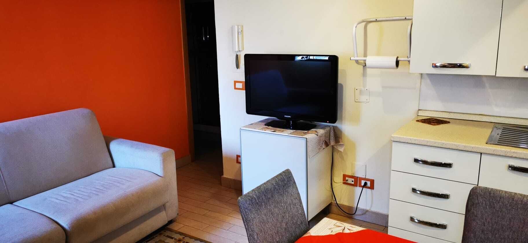A compact living space with a sofa, a television, a small kitchenette, and a cabinet.
