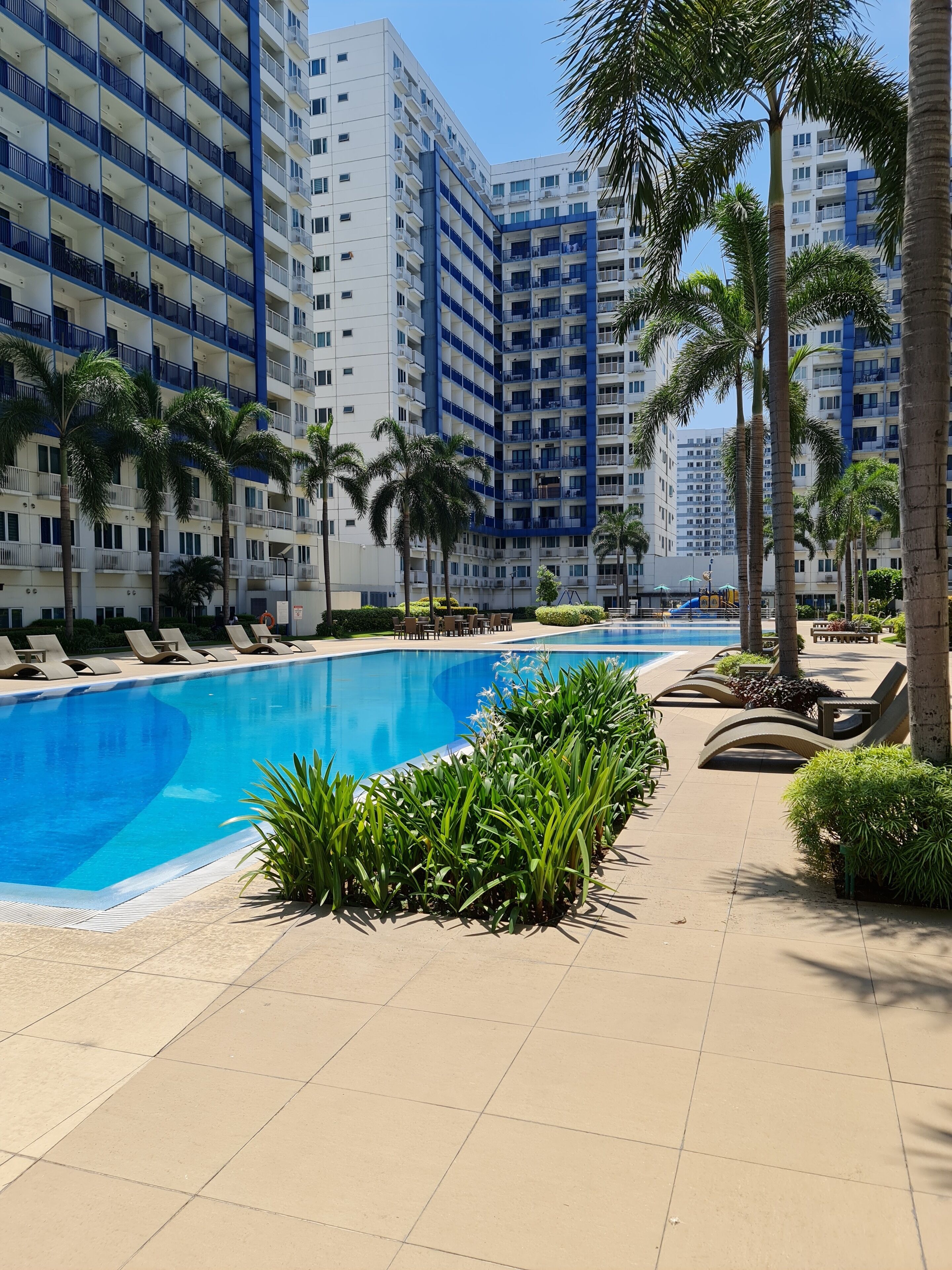 Una piscina con sillas de descanso y palmeras, rodeada de edificios altos.