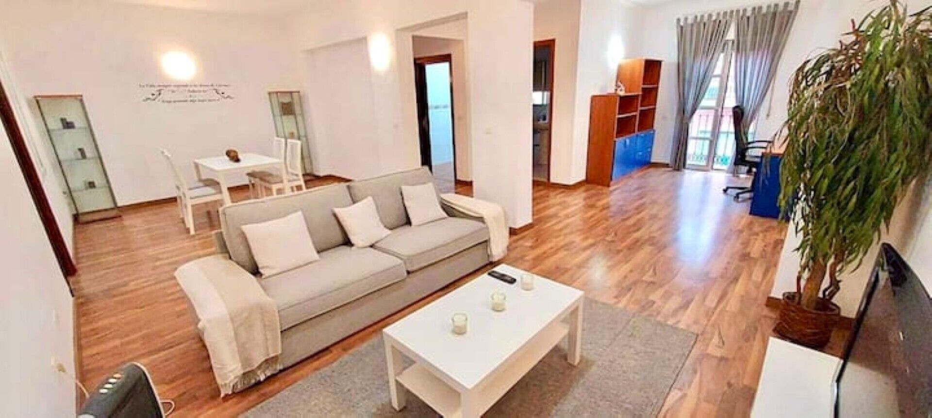 TV, books, computer monitors