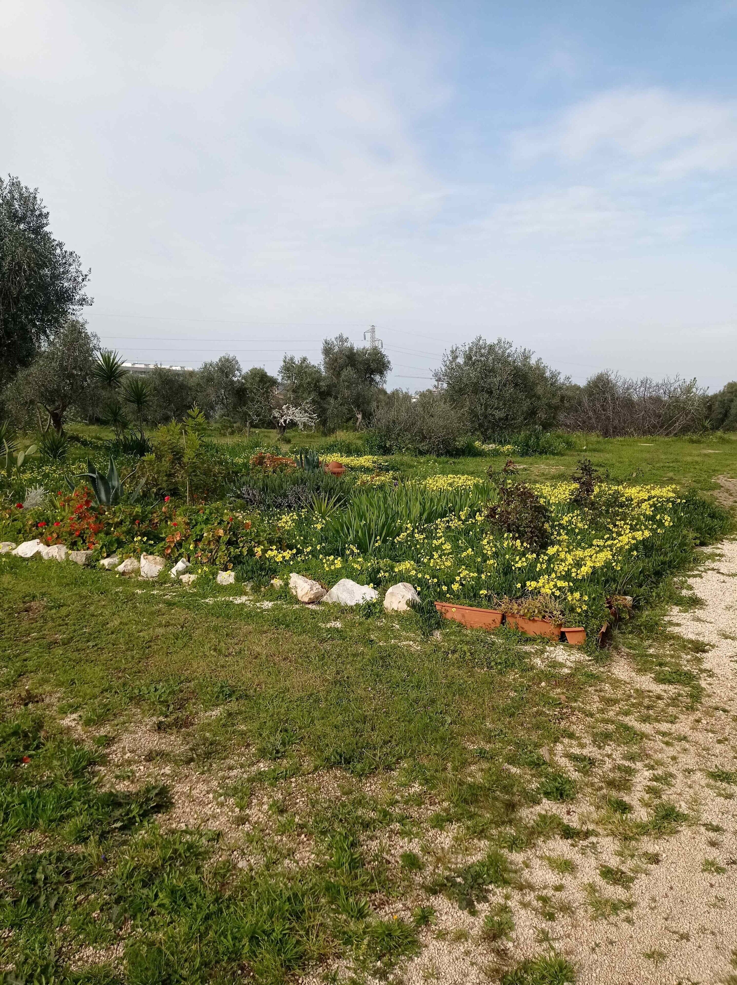 Parco della struttura