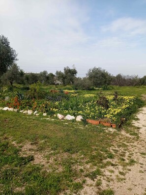 Áreas de la propiedad