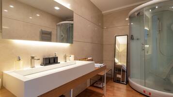 Shower, hair dryer, towels
