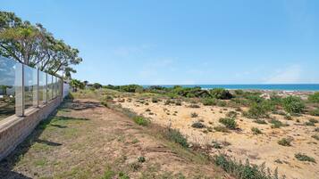 Eine Küstenlandschaft mit blauem Himmel, einem Sandstrand mit vereinzelter Vegetation und einer Struktur mit Glasbarriere auf der linken Seite.