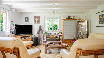 TV, DVD player, table tennis