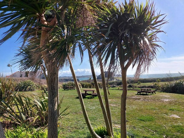 Property grounds - ANGLESEY, Treaddur Bay, King Arthur Suite 6 bed apartment ideal for family hols. (Treaddur Bay, Anglesey)