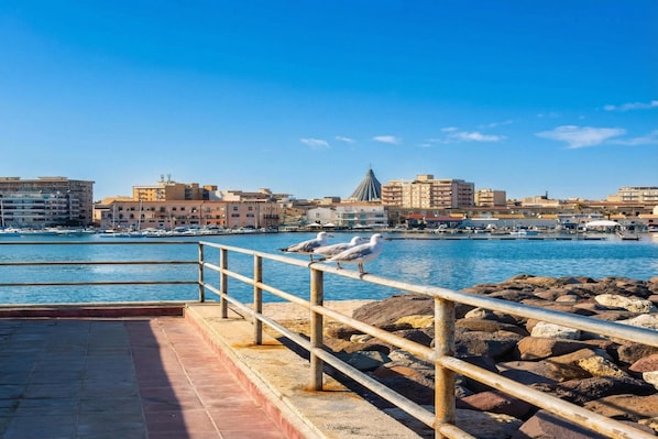 A waterfront cityscape with a prominent building with a conical roof, a marina with boats, and a railing with seagulls.