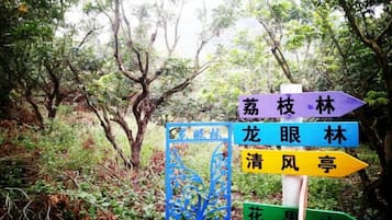 외부 세부 사진