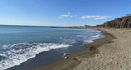 Appartamento La Cecinese by Interhome