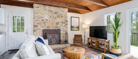 Télévision, cheminée, livres, espaces bureaux