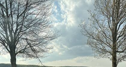 Lakefront All Season Home