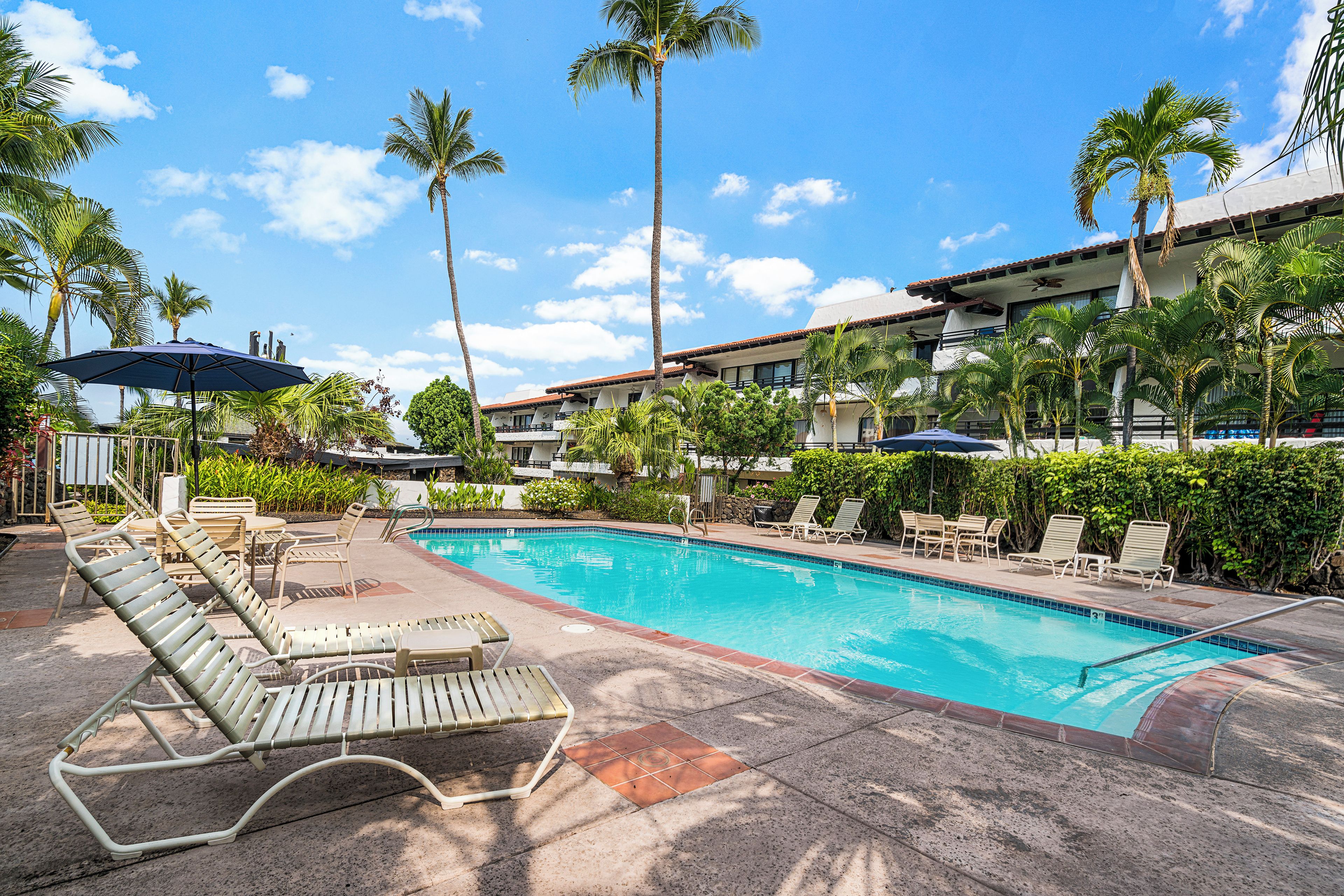 A pool area with lounge chairs, palm trees, and a building in the background.