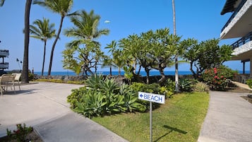 A beachfront property with a sign indicating the direction to the beach, palm trees, and a view of the ocean.