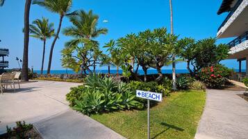 A beachfront property with a sign indicating the direction to the beach, palm trees, and a view of the ocean.