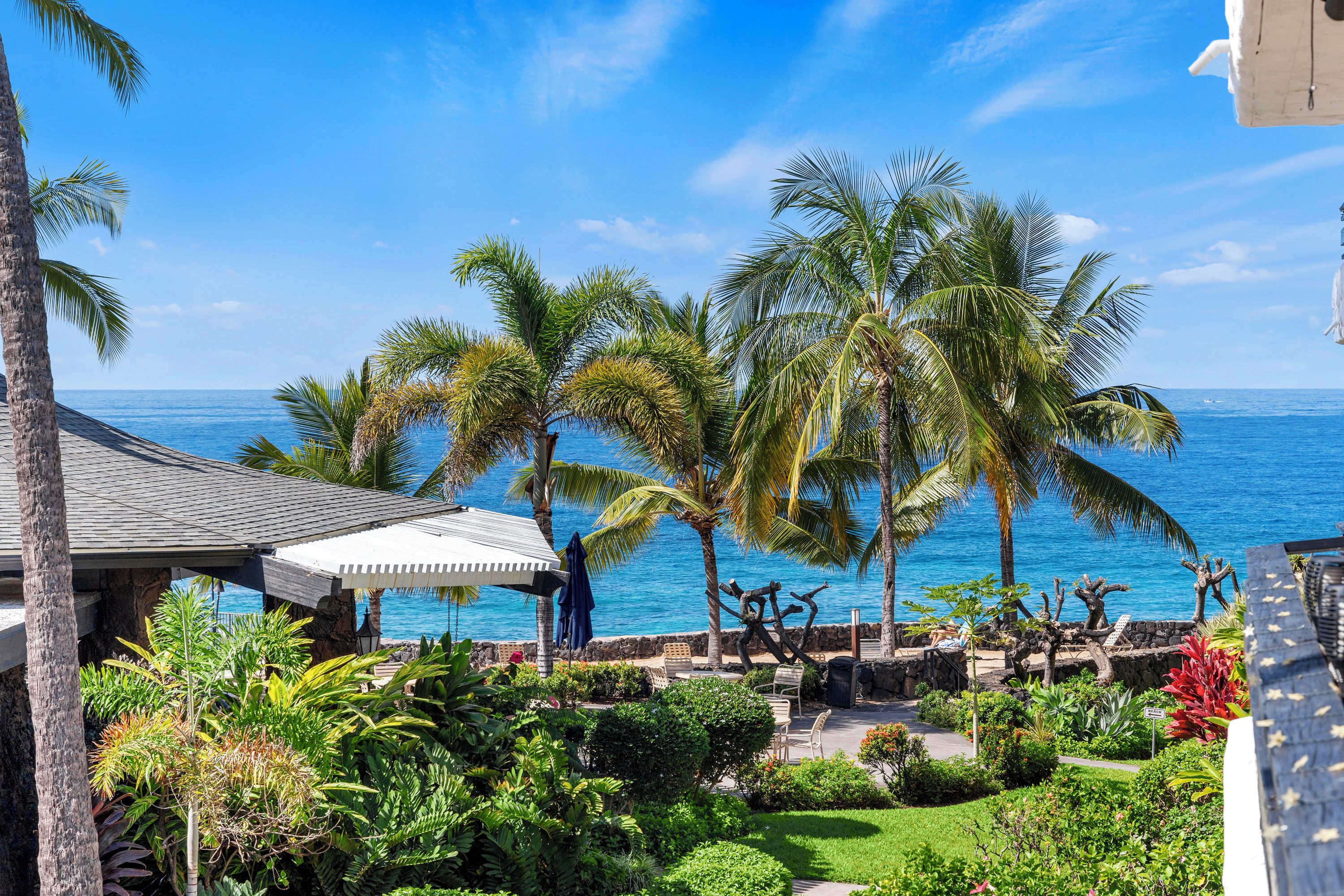 A tropical resort with a view of the ocean, palm trees, and a covered seating area.