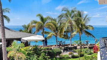 A tropical resort with a view of the ocean, palm trees, and a covered seating area.