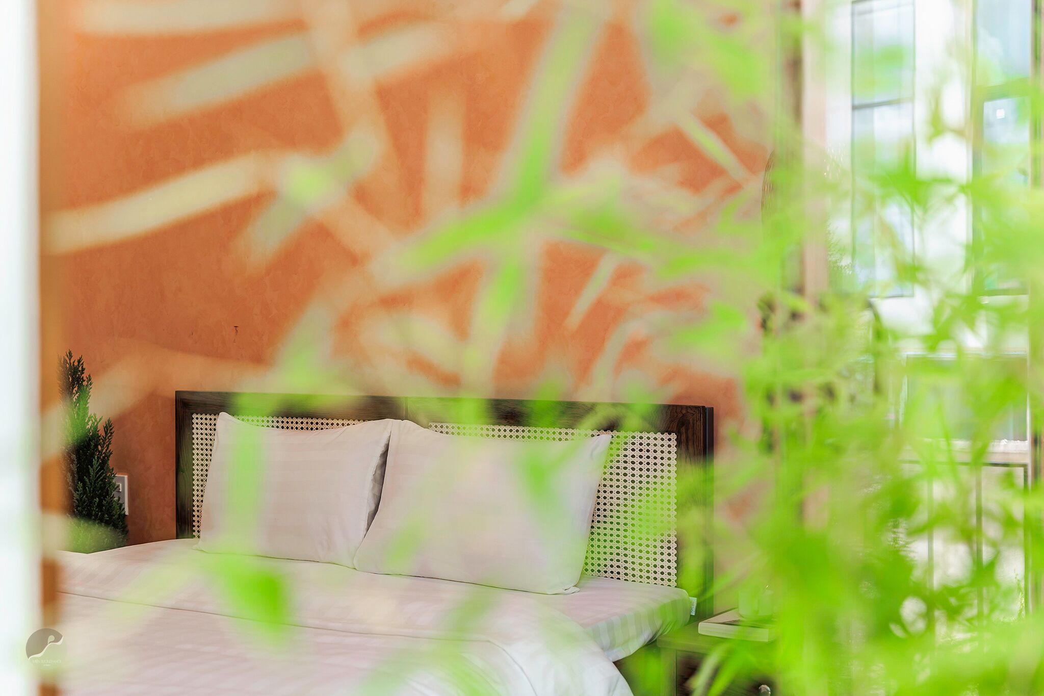 A bed with a woven headboard, a bedside table, and a potted plant.