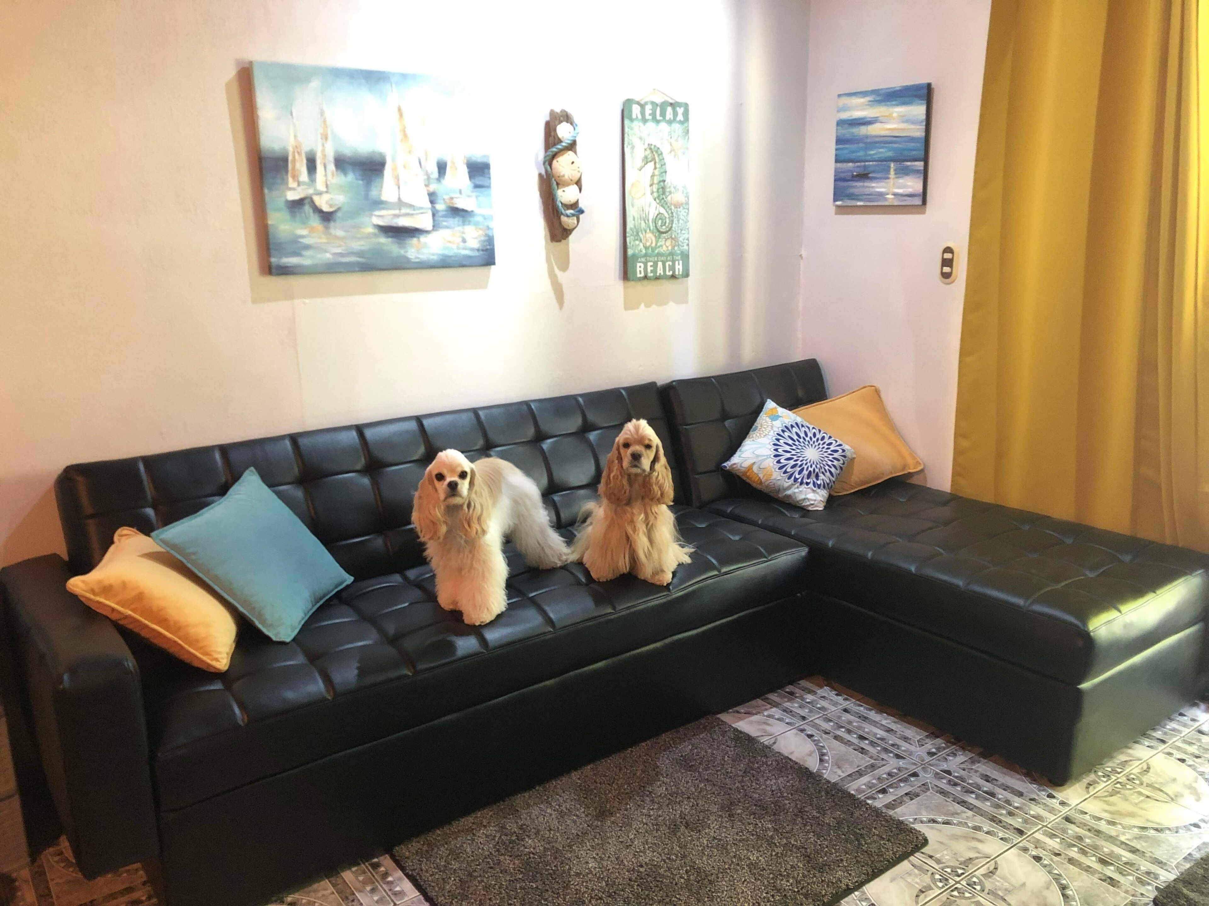 Superior Apartment | Living area | Flat-screen TV
